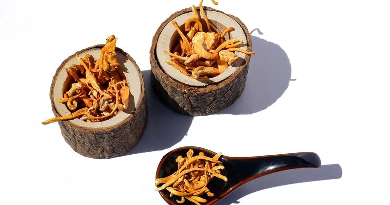 Cordyceps Erfahrungsberichte: was ich tatsächlich gemerkt habe