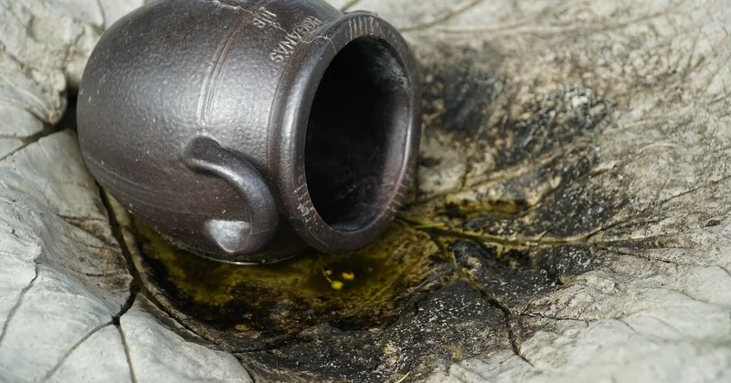 Hornhaut Auge: welche Erkrankungen auftreten und wie sie sich zeigen