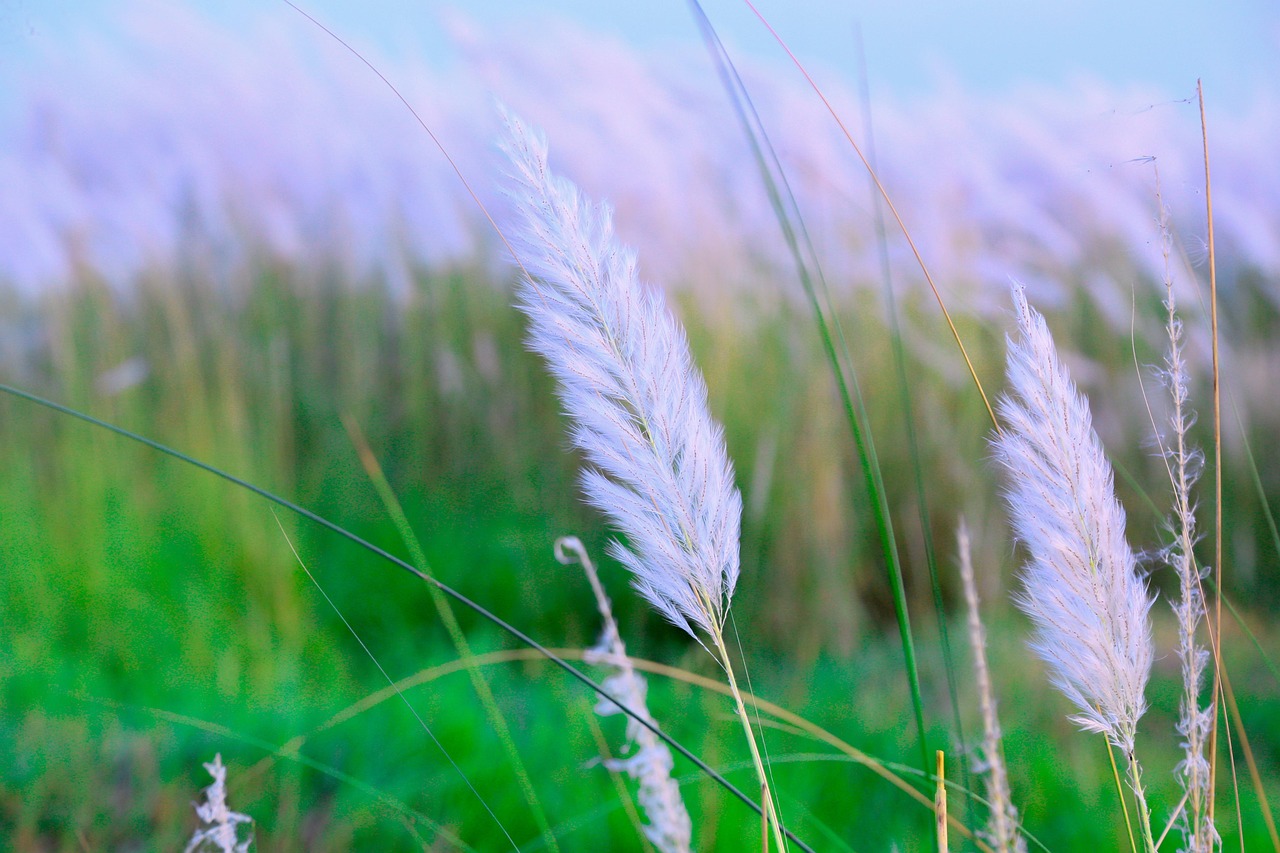 entdecken sie alles rund um cashflow: bedeutung, optimierungsmöglichkeiten und tipps, wie sie ihre finanzen effizient verwalten. erfahren sie, warum der cashflow für unternehmen und privatpersonen so wichtig ist.